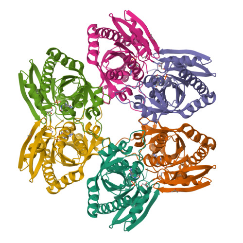 Purine nucleoside phosphorylase structure