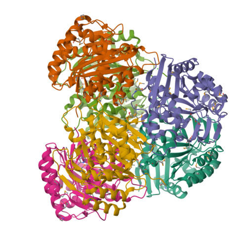 RCSB PDB - 3MBH: Crystal structure of a putative ...