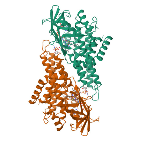 RCSB PDB - 3MDE: CRYSTAL STRUCTURES OF MEDIUM CHAIN ACYL-COA