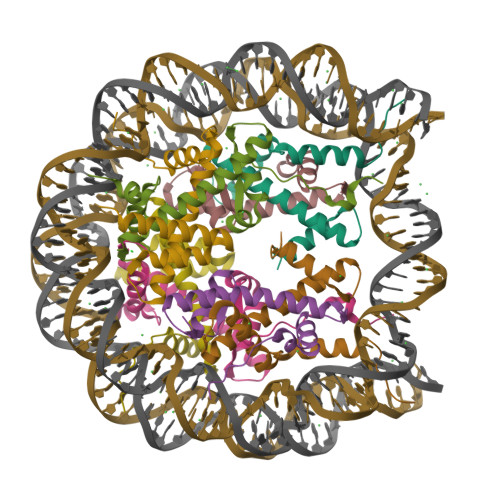 RCSB PDB - 3MGQ: Binding of Nickel ions to the Nucleosome Core Particle