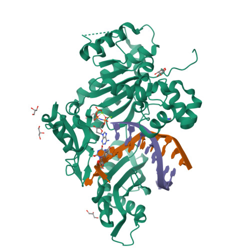 RCSB PDB - 3MR3: Human DNA polymerase eta - DNA ternary complex with ...