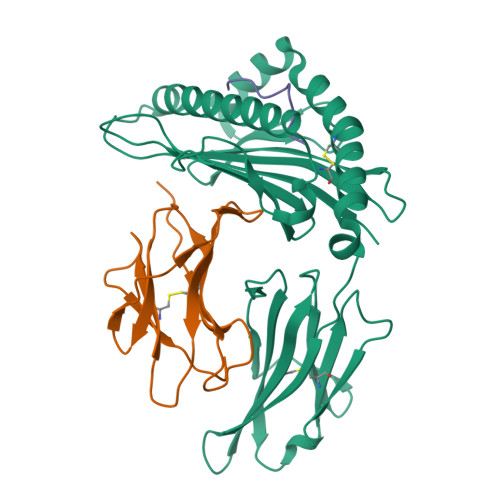 Solute carrier organic anion transporter family member 2A1 structure