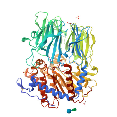 RCSB PDB - 3MUO: APPEP_PEPCLOSE+PP closed state