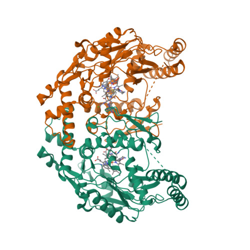 RCSB PDB - 3N65: Structure of neuronal nitric oxide synthase S602H 