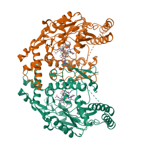 RCSB PDB - 3N65: Structure of neuronal nitric oxide synthase S602H 