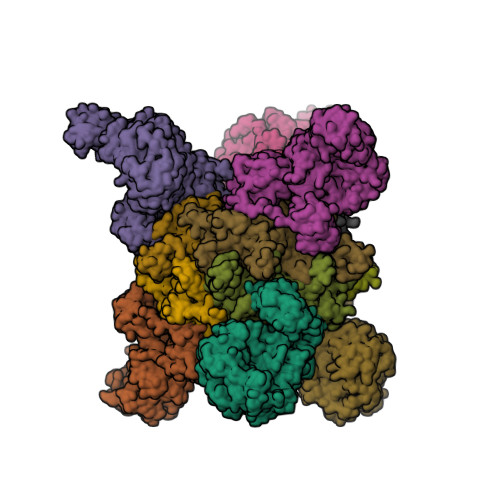 RCSB PDB - 3N6R: CRYSTAL STRUCTURE OF the holoenzyme of PROPIONYL-COA ...