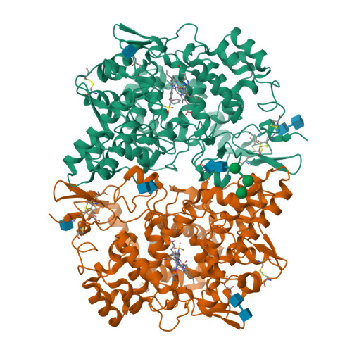 RCSB PDB - 3N8X: Crystal Structure of Cyclooxygenase-1 in Complex 