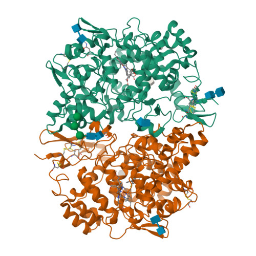 RCSB PDB - 3N8Z: Crystal Structure of Cyclooxygenase-1 in Complex 