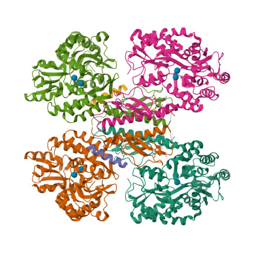 PDB 3N93