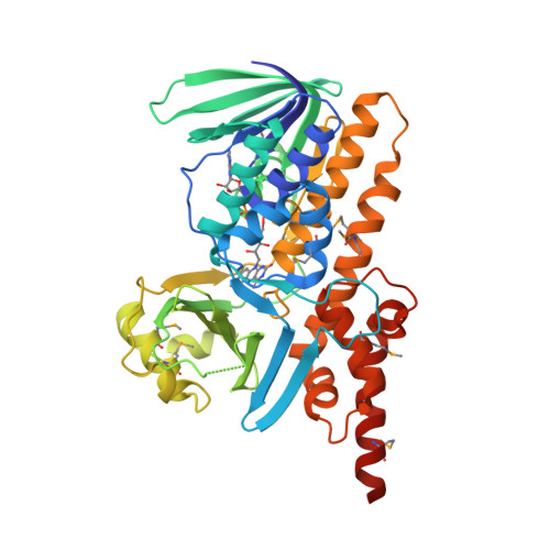 RCSB PDB - 3NIX: Crystal structure of flavoprotein/dehydrogenase from  Cytophaga hutchinsonii. Northeast Structural Genomics Consortium Target  ChR43.