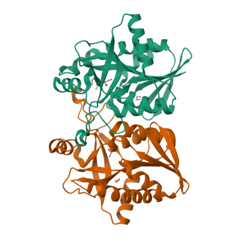 Aminodeoxyfutalosine nucleosidase structure