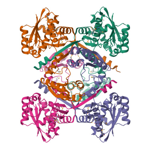 RCSB PDB - 3NND: The crystal structure of ABC transporter from ...