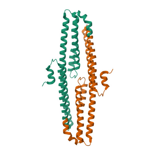PDB-101: Molecule of the Month: Amyloids