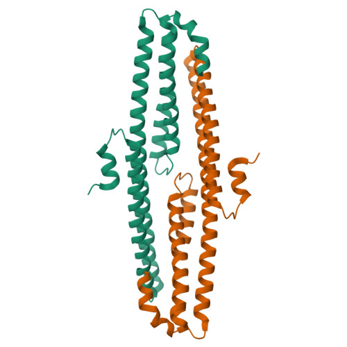 PDB-101: Molecule of the Month: Amyloids