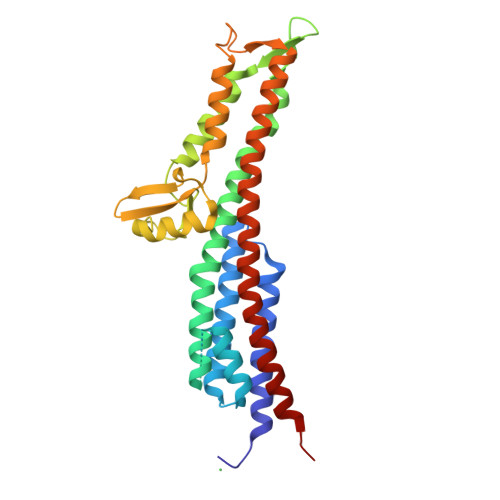 RCSB PDB - 3NZZ: Crystal Structure of the Salmonella Type III Secretion ...