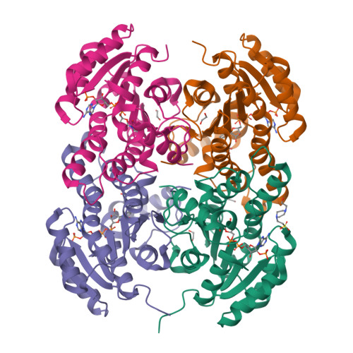 PDB 3O4R