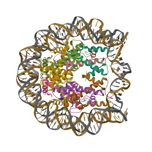 RCSB PDB - 3O62: Nucleosome core particle modified with a cisplatin 1,3 ...