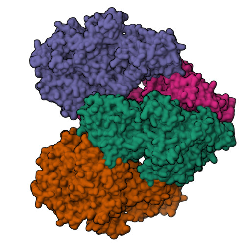 RCSB PDB - 3OBA: Structure of the beta-galactosidase from Kluyveromyces ...