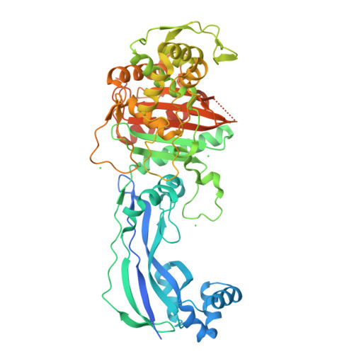 Peptidoglycan D,D-transpeptidase FtsI structure