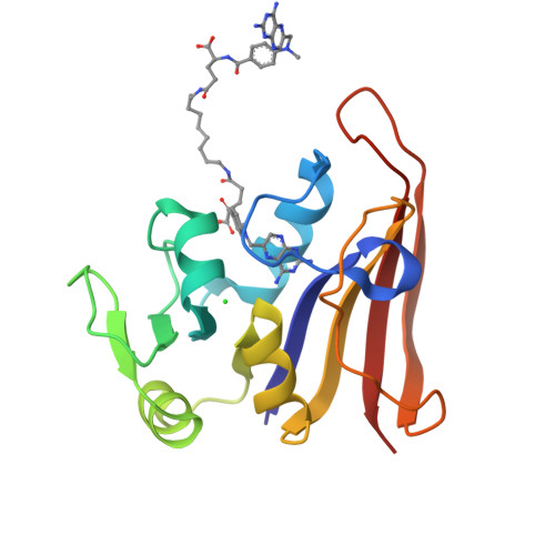 RCSB PDB - 3OCH: Chemically Self-assembled Antibody Nanorings (CSANs ...