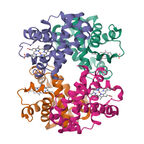 RCSB PDB - 3ODQ: Structure of a Crystal Form of Human Methemoglobin ...