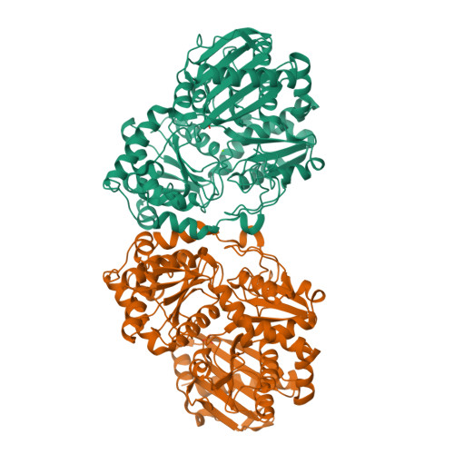 Olp3 Shell RCSB PDB - 3OLP: Crystal structure of a bacterial phosphoglucomutase ...