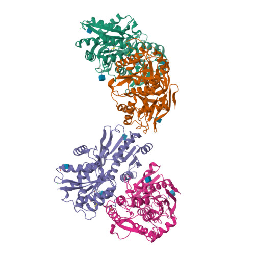 Glutamate receptor ionotropic, kainate 3 structure