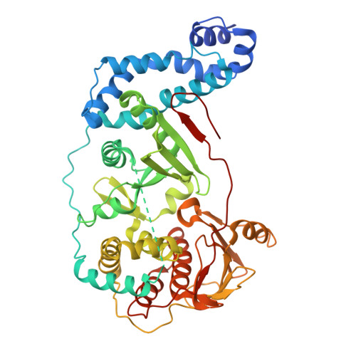 RCSB PDB - 3OWG: Crystal structure of vaccinia virus Polyadenylate ...