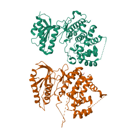 Mitogen-activated protein kinase structure