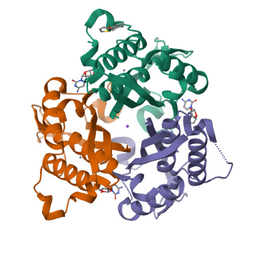 RCSB PDB - 3P10: Crystal structure of 2-C-methyl-D-erythritol 2,4 ...