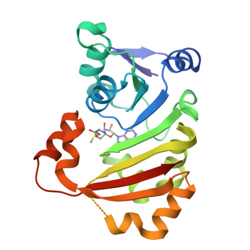 RCSB PDB - 3P2K: Structure of an antibiotic related Methyltransferase