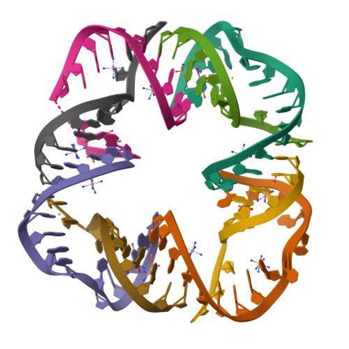 RCSB PDB - 3P59: First Crystal Structure of a RNA Nanosquare