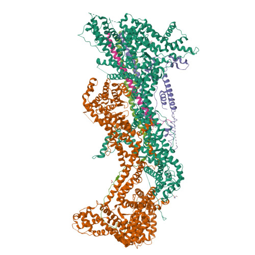 RCSB PDB - 3P8C: Structure and Control of the Actin