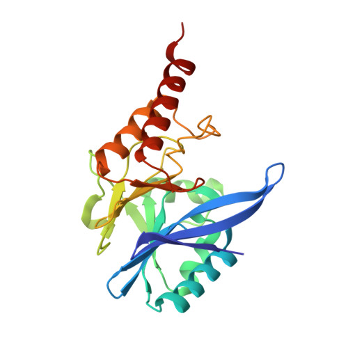 Metallo-beta-lactamase type 2 structure