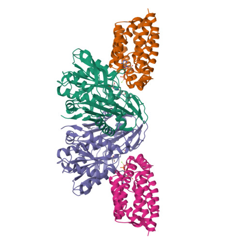 RCSB PDB - 3PNL: Crystal Structure of E.coli Dha kinase DhaK-DhaL