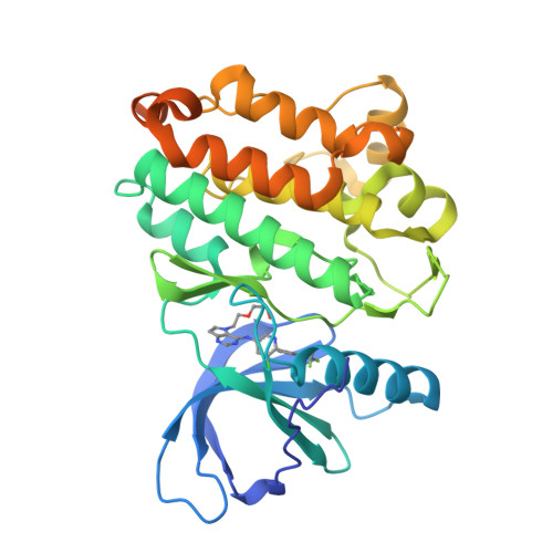 RCSB PDB 3PP0 Crystal Structure Of The Kinase Domain Of Human HER2