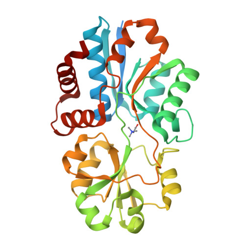 RCSB PDB - 3PPP: Structures of the substrate-binding protein provide ...