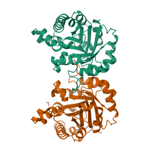 RCSB PDB - 3PWA: Structure of C126A mutant of Plasmodium