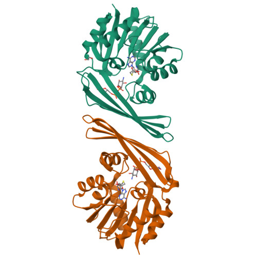 ぱるページ RCSB PDB - 3PX3: Structure of TylM1 from Streptomyces fradiae