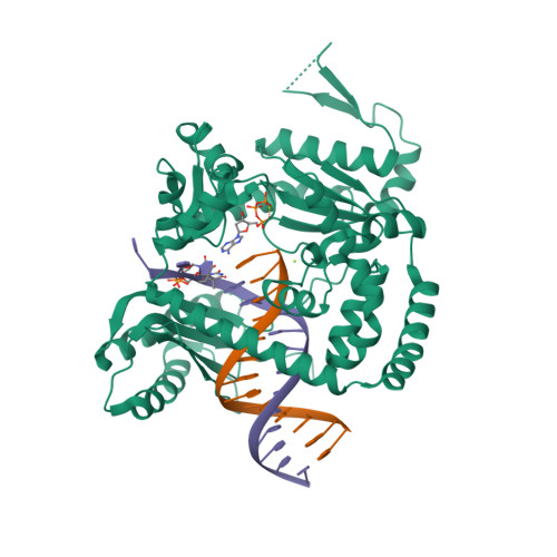 Teenager højdepunkt Kristendom RCSB PDB - 3PZP: Human DNA polymerase kappa extending opposite a cis-syn  thymine dimer