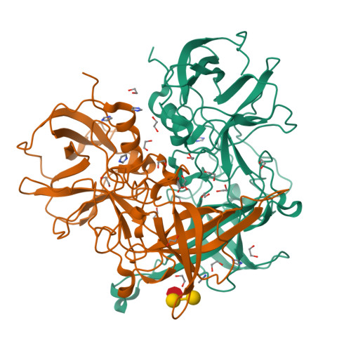 RCSB PDB - 3Q38: Crystal structure of P domain from norwalk virus ...