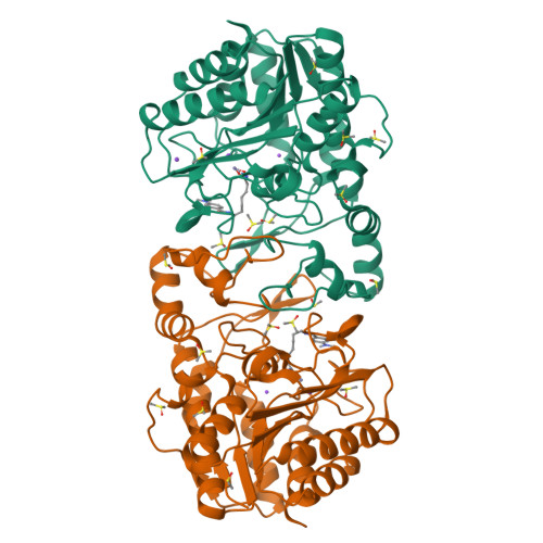 Acetylpolyamine amidohydrolase structure