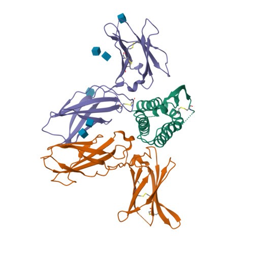 RCSB PDB - 3QAZ: IL-2 mutant D10 ternary complex