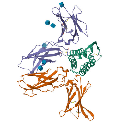 RCSB PDB - 3QAZ: IL-2 mutant D10 ternary complex