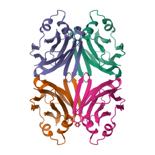 RCSB PDB - 3QDS: Structure of apo Boletus edulis lectin