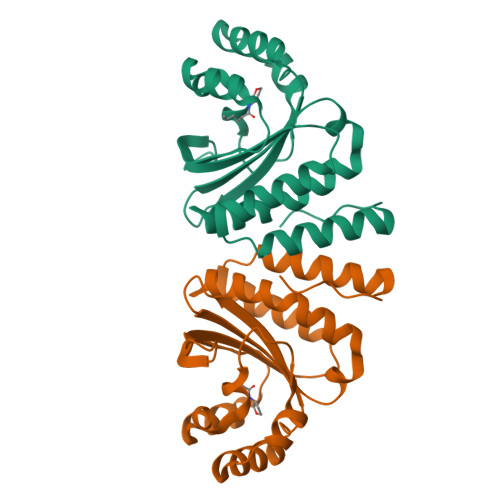 CviR transcriptional regulator structure