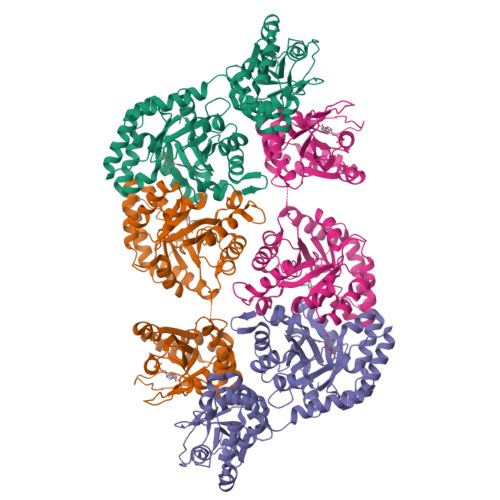 RCSB PDB - 3QW4: Structure of Leishmania donovani UMP synthase