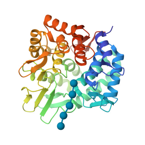 Cellulose Structure 3d