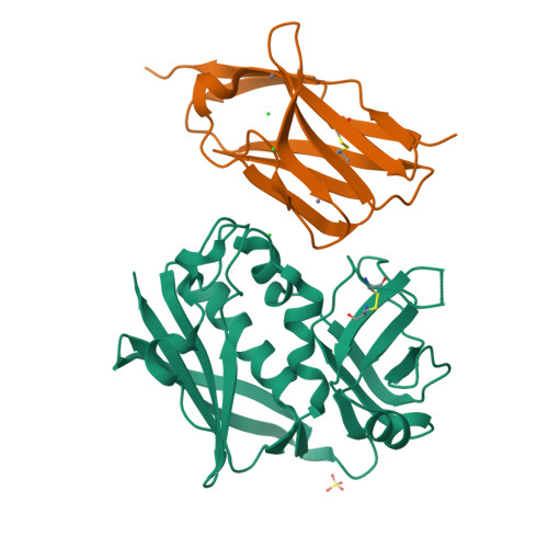 RCSB PDB - 3R8B: Crystal Structure Of Staphylococcal Enterotoxin B In ...