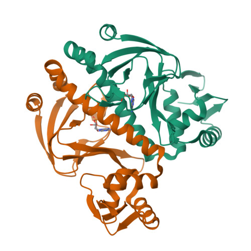 RCSB PDB - 3RDI: Domain-domain flexibility leads to allostery within ...